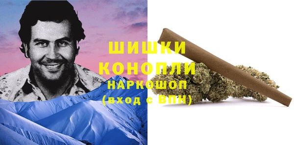 apvp Белокуриха
