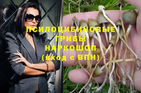 прущий лед Белоозёрский