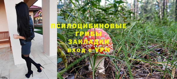 apvp Белокуриха
