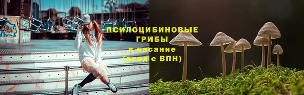 apvp Белокуриха